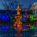 Dazzled by Botanic D’Lights